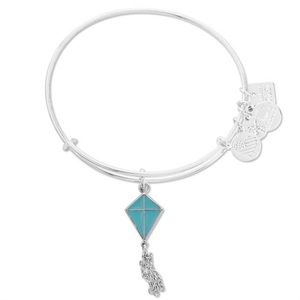 NWT Alex and Ani Inspiration In Flight Charm Bangle - Shiny Silver Finish